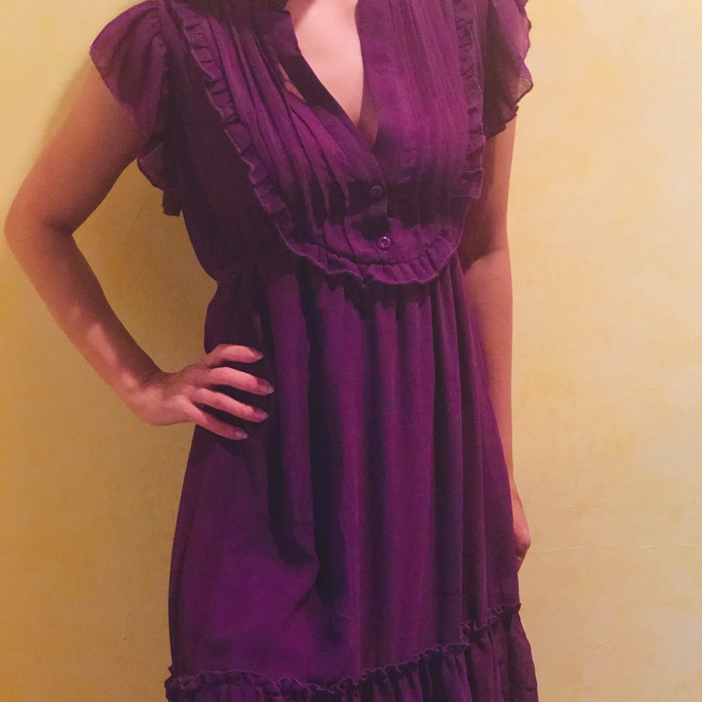 Ruffled Sleeve Dress